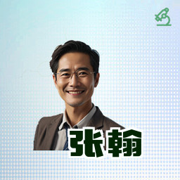 张翰